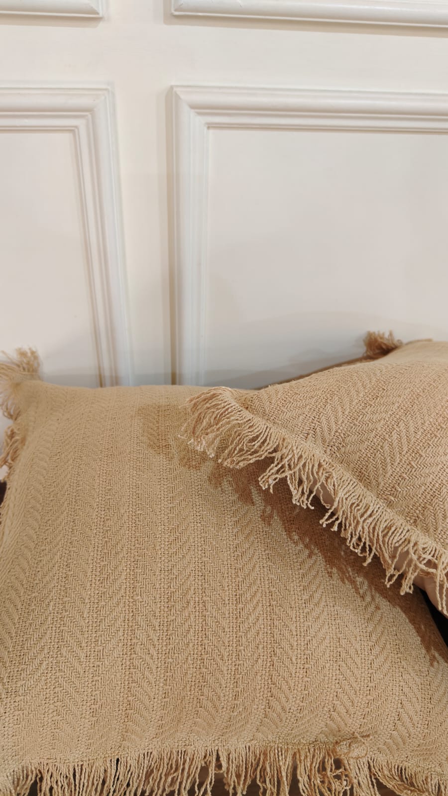 Sable Tufted Fringe Cushion (Set Of 2)
