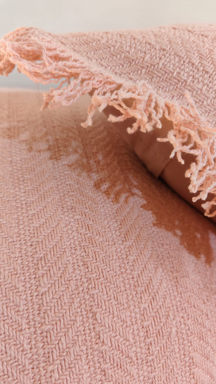 Blush Tufted Fringe Cushion (Set Of 2)