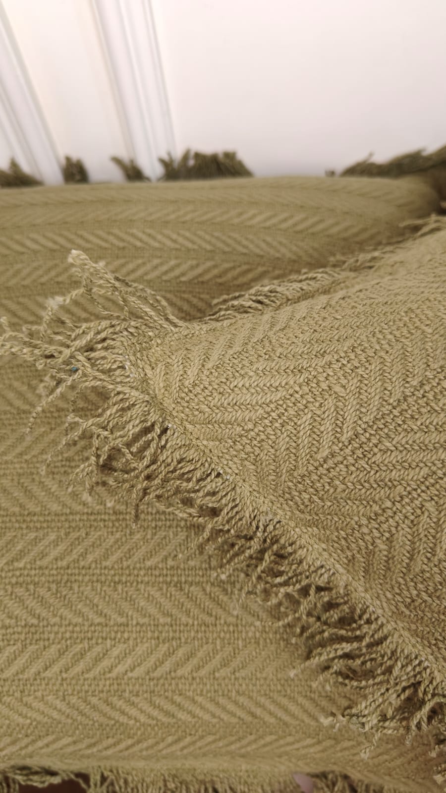Sage Tufted Fringe Cushion (Set of 2)